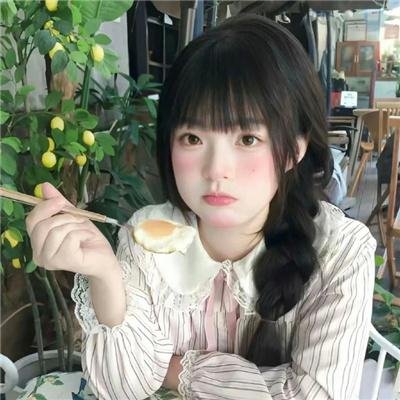 猫咪情缘